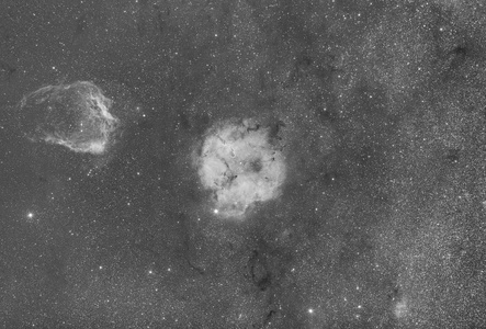 Flying Bat and IC1396