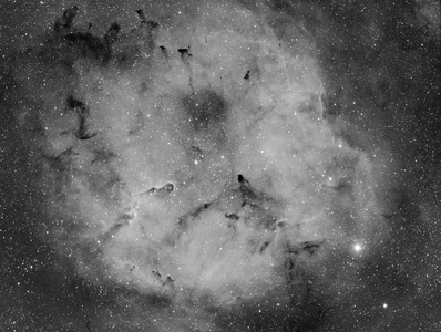 IC1396 and Elephant trunk