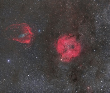 IC1369, Flying bat and Giant squid nebulae (CCD=DSLR)