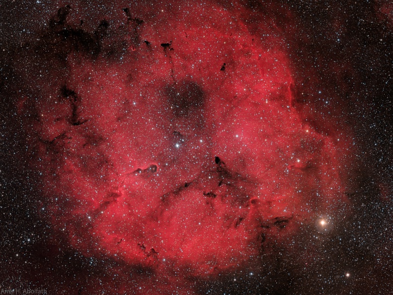 IC1396 HaRGB.jpg