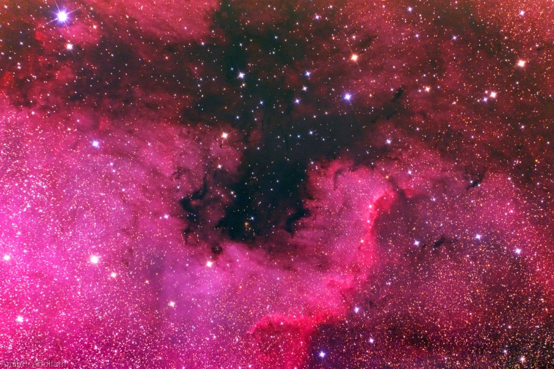 NGC7000 processed.jpg