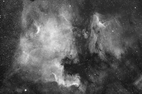 NGC7000 and Pelican nebula
