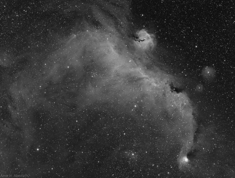 Seagul nebula Ha.jpg