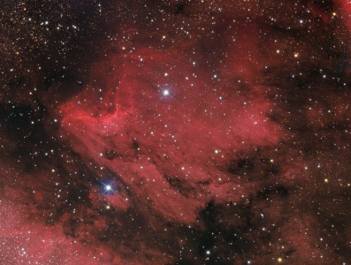 Pelican nebula