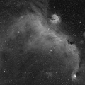 Seagul nebula Ha.jpg
