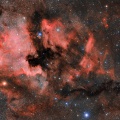NGC7000 HaRGB 2.jpg