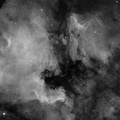 NGC7000 Ha.jpg