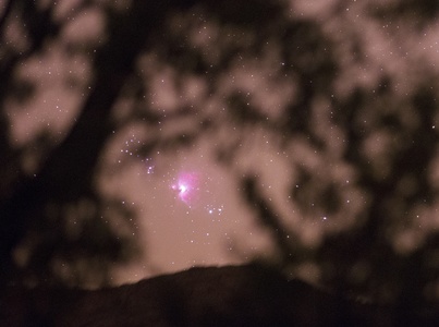 Rising Orion nebula